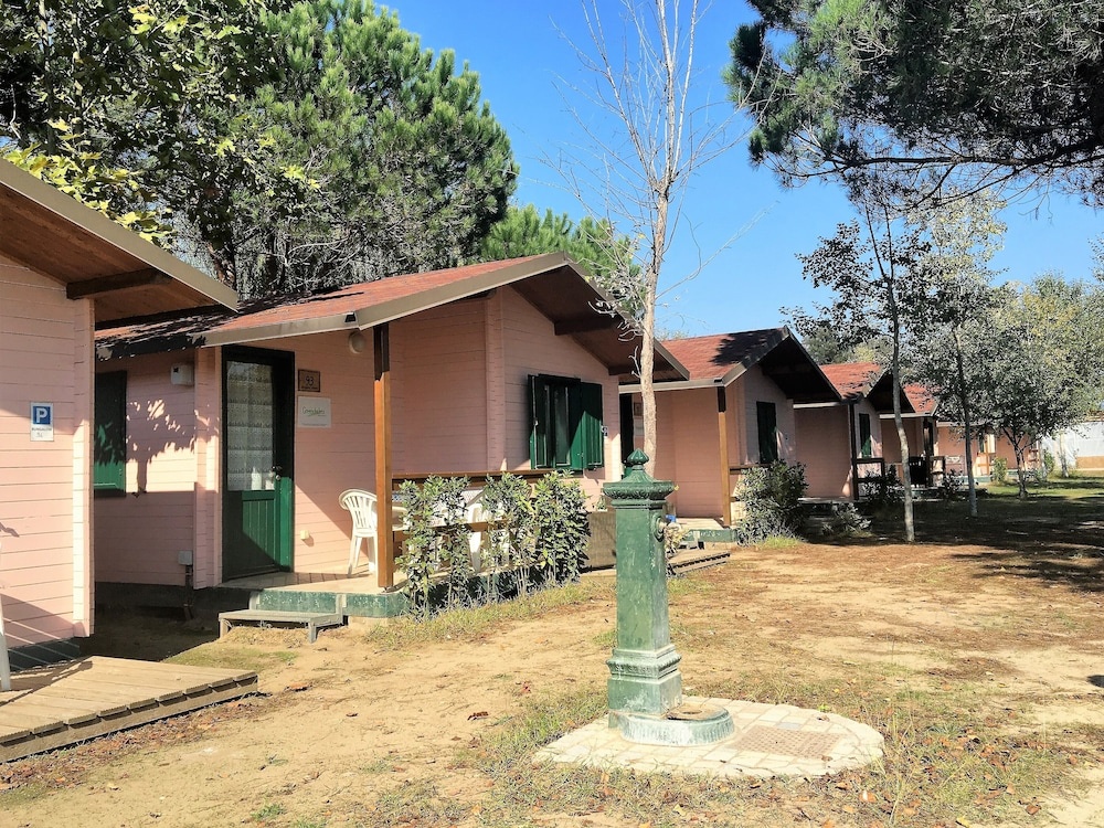 Room in Bungalow - Greenchalets Bungalow Tuscany Viareggio