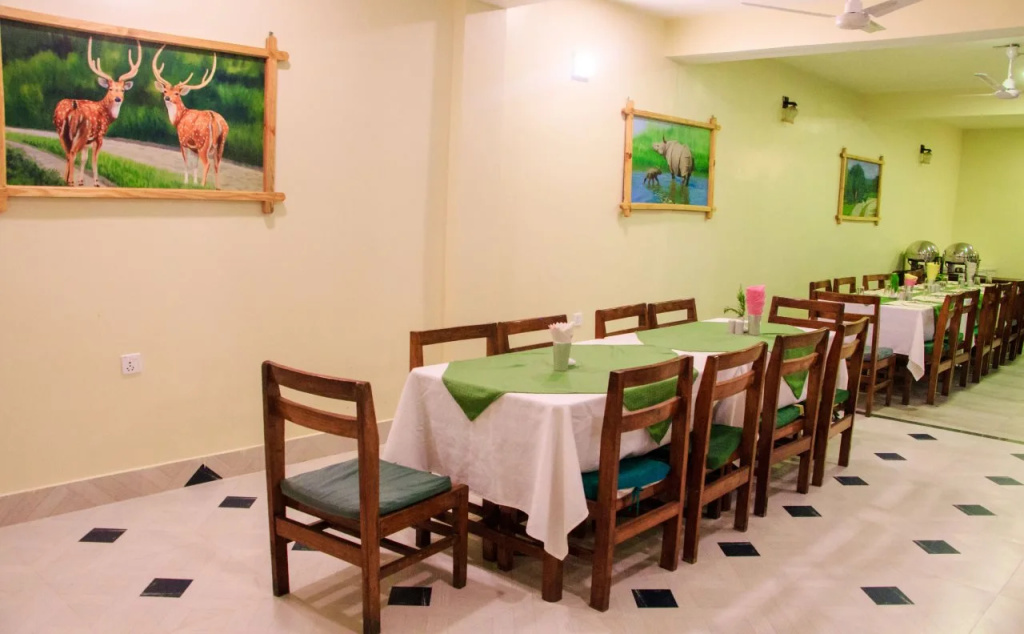 Hotel Rainforest