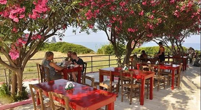 Pink Palace Beach Resort