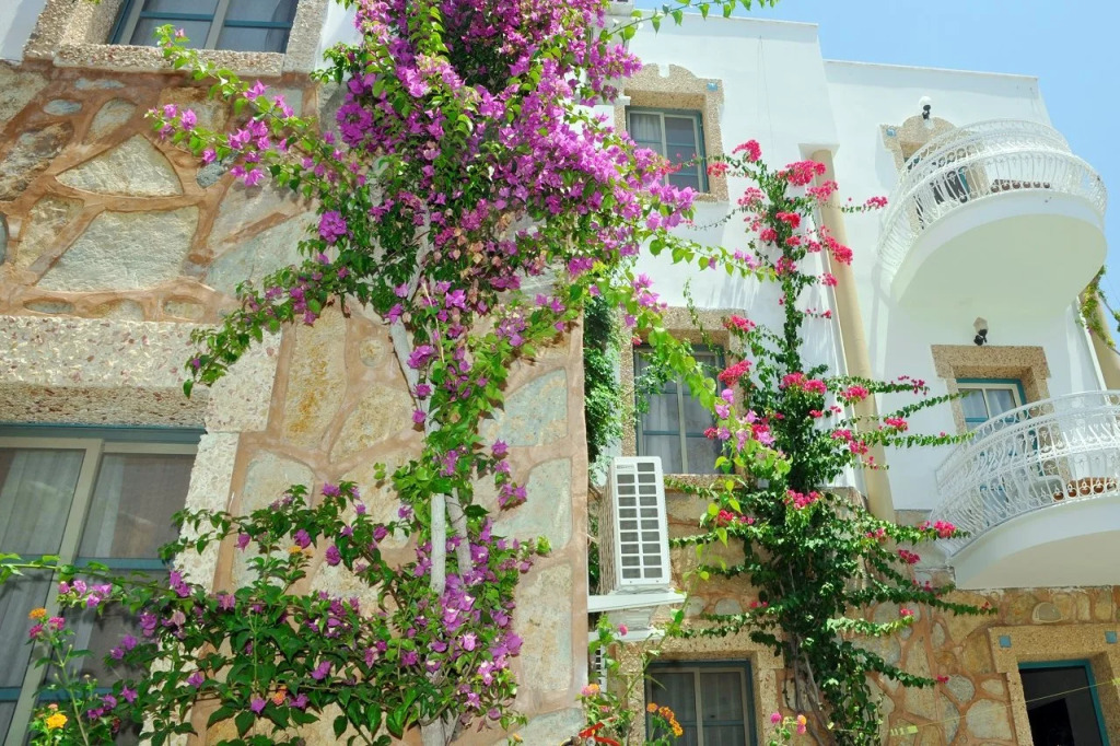 Отель Siesta Beach & Apart