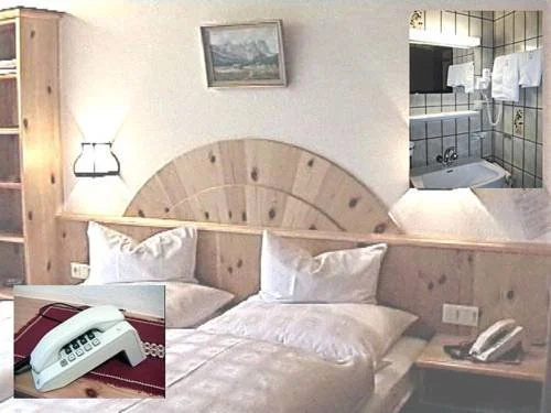 Pension Danler