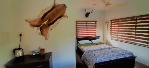 Noahs Nest Tree House