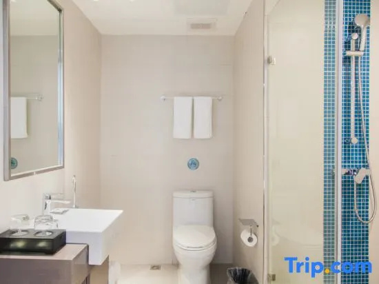 Homeinn Selected Hotel (Shanghai Jiading New City Malu Subway Station Branch)