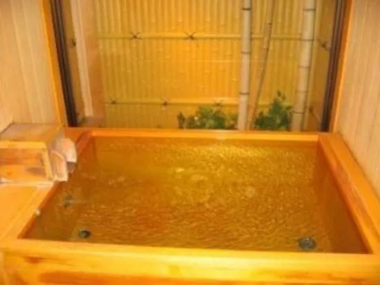 Gero Onsen Kissenkan Chikusuitei