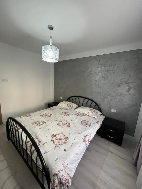 Borșa ApartHotel 4