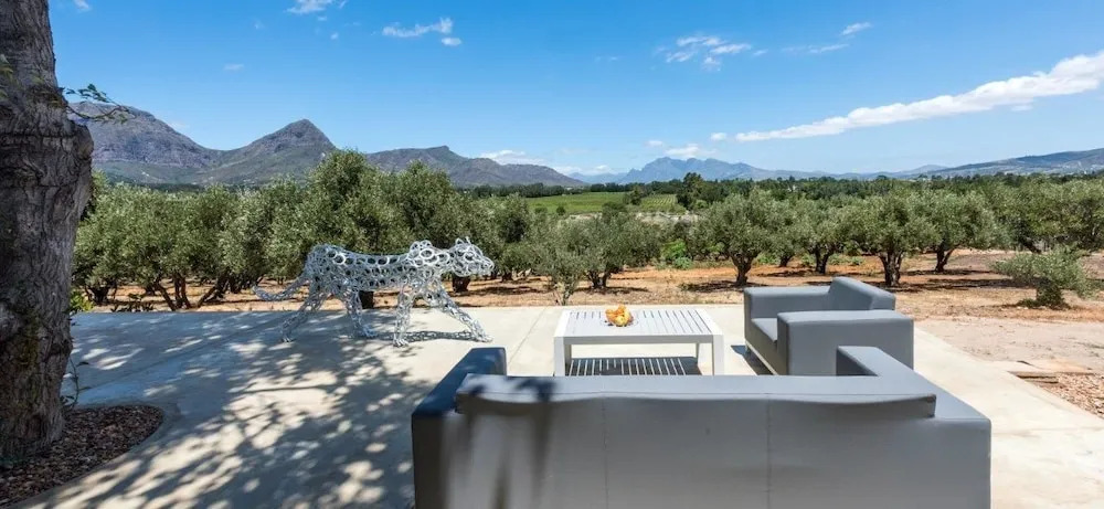 Ashia Cheetah Experience