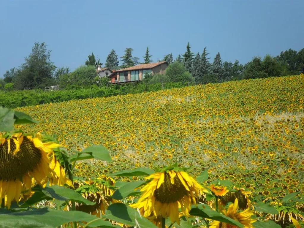 La Ca dal Non Bioagriturismo - Alpenice