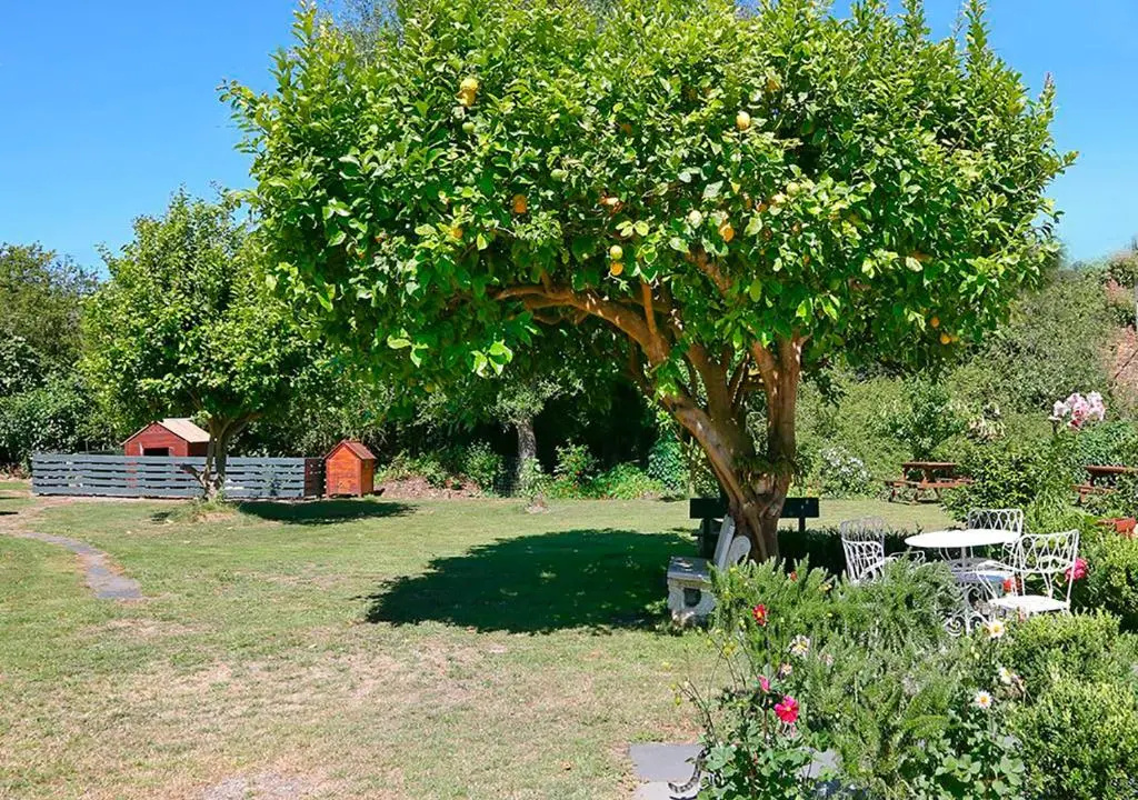 Pensión Casa Elena