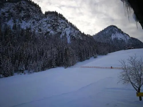 Gasthof Appartement`s Staffnerhof