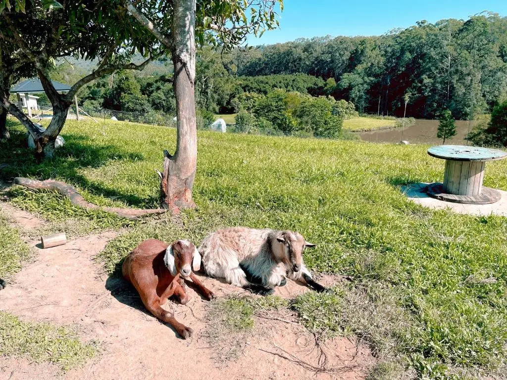 Seven Peaks Farm Stay
