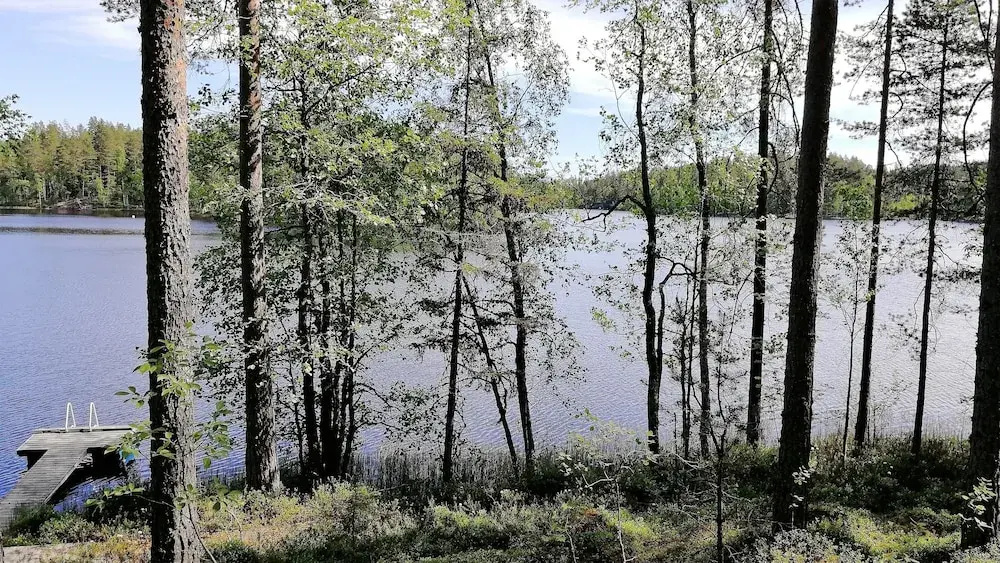 Salkolahti Minttu