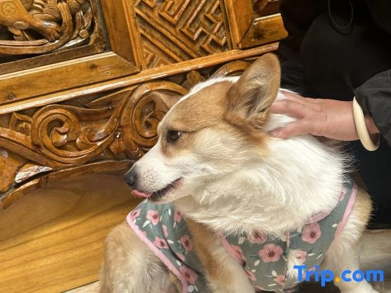 Qingke Xiangju  Homestay