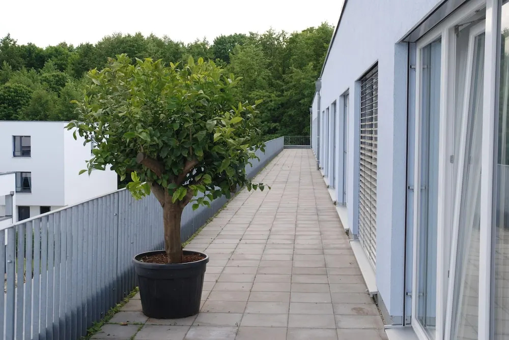 Zar-Hotel Vitalis