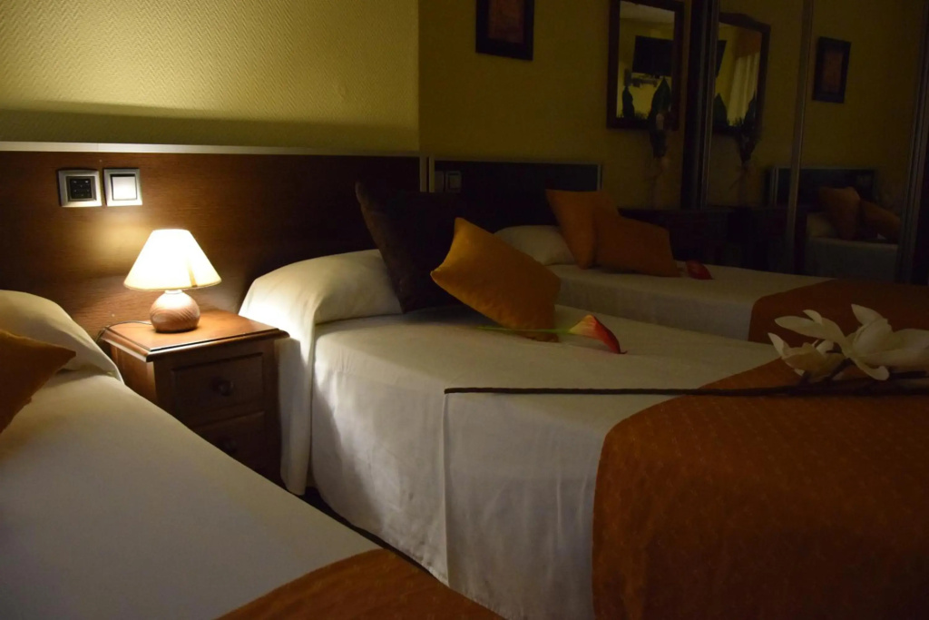 Hotel Complutense