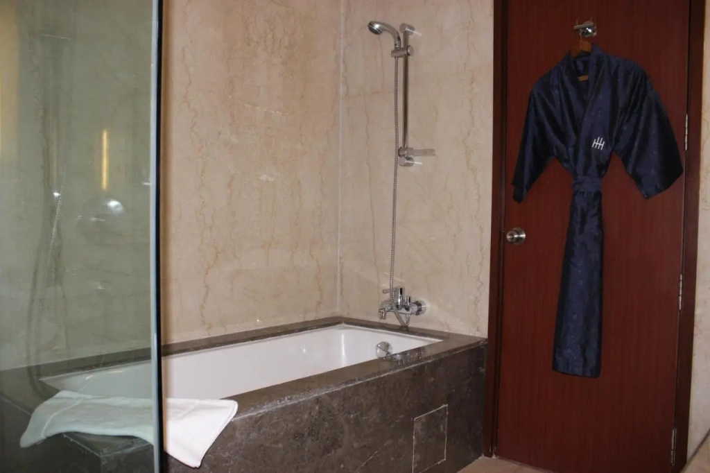 Hotel The Hans - Connaught Place, New Delhi