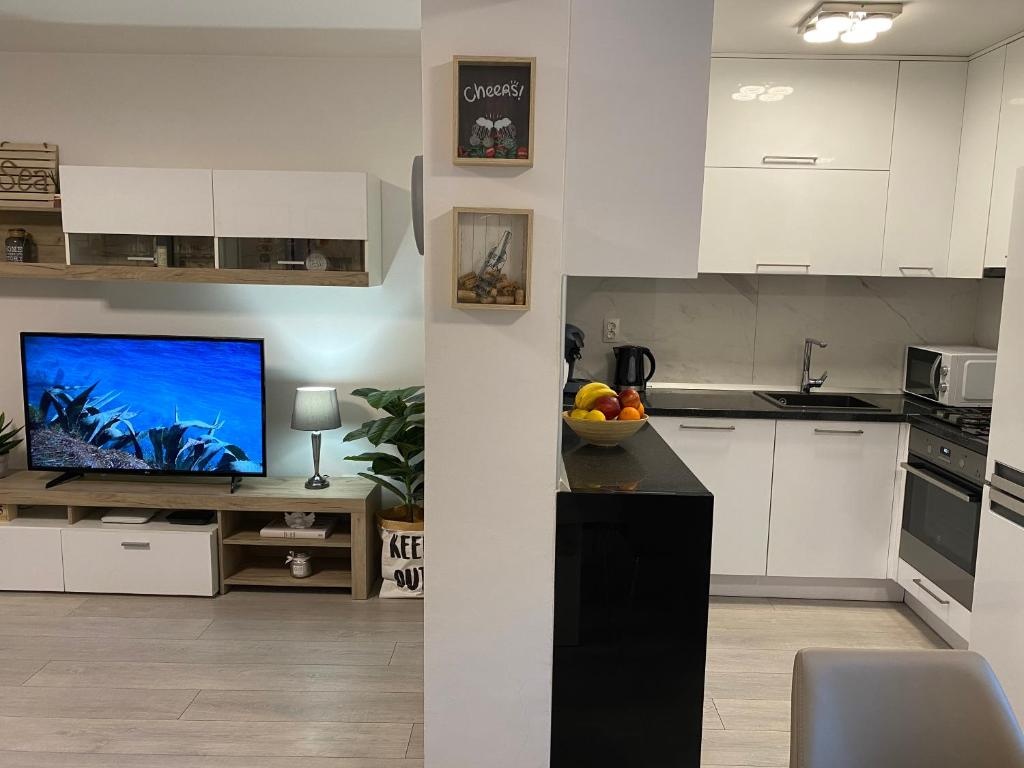 Apartment Aria - BBQ grill & garage