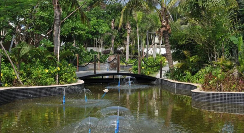 Leaguer Resort