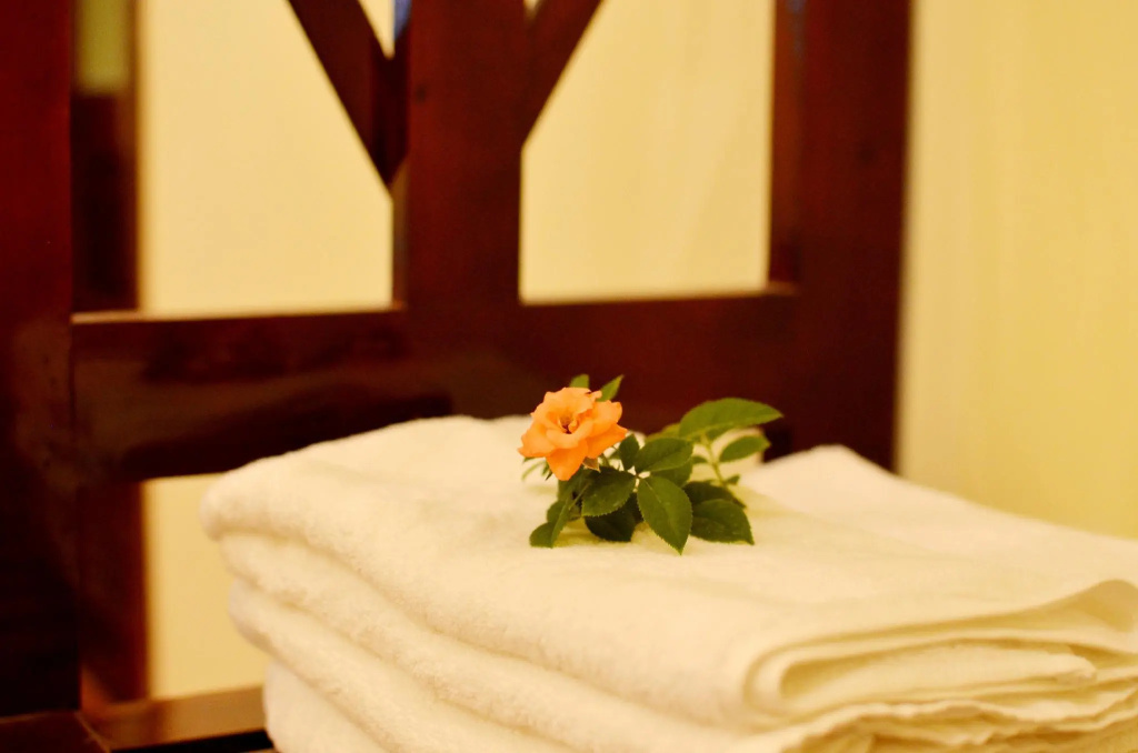 Panda Garden Homestay