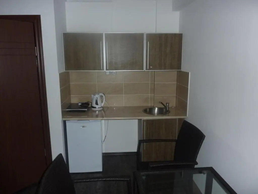 Mgzavrebi Bakuriani. Apartment #202