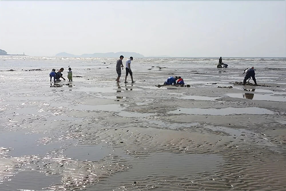 Taean Hilmare Pension