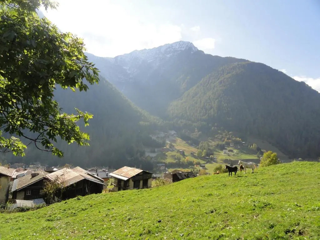 B&B Mas di Zonadi