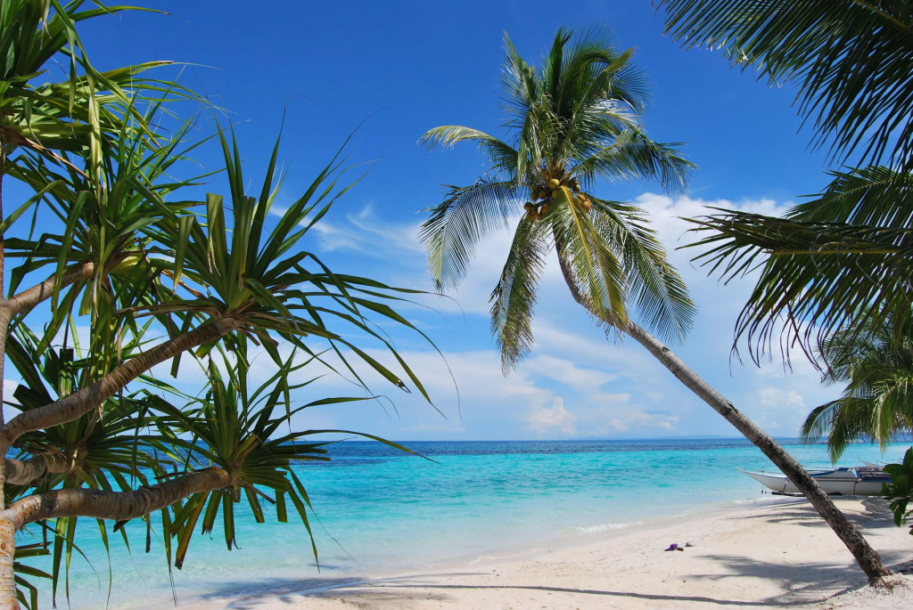 Malapascua Exotic Island Dive and Beach Resort