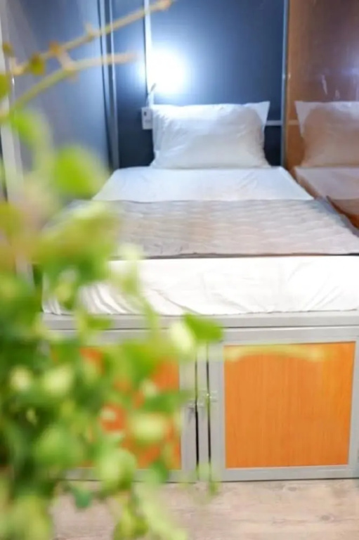 WillHome Hostel