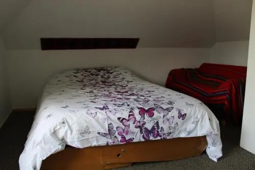 Kicking Horse Backpacker Hostel
