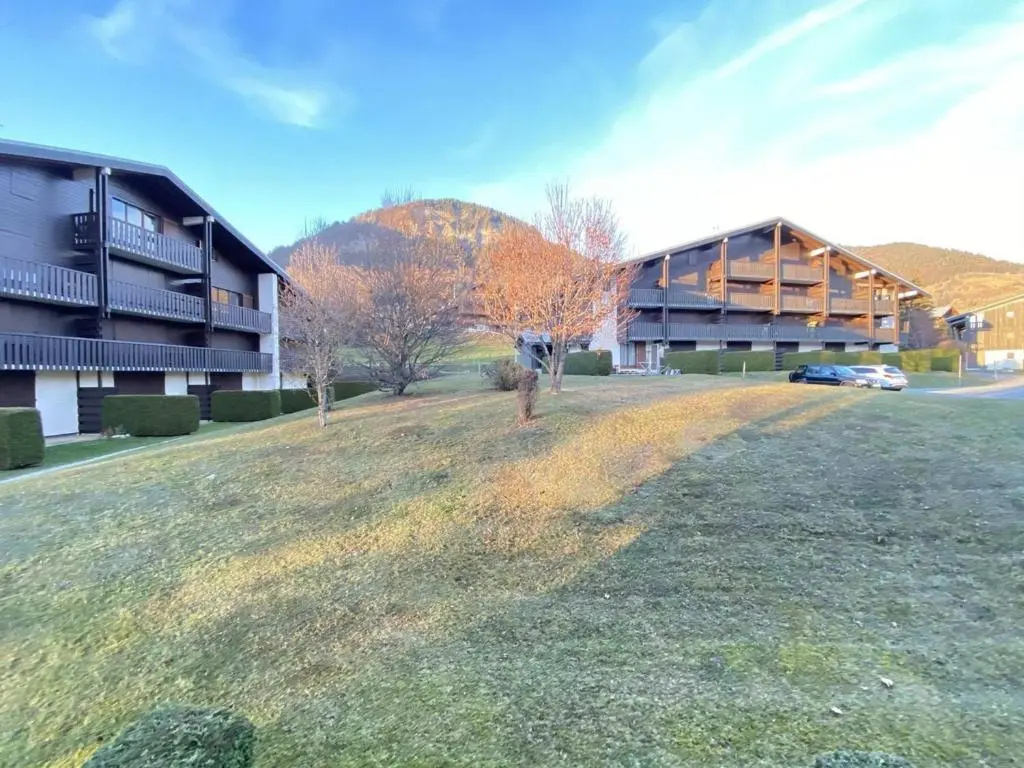 Appartement Praz-sur-Arly, 1 pièce, 4 personnes - FR-1-603-5