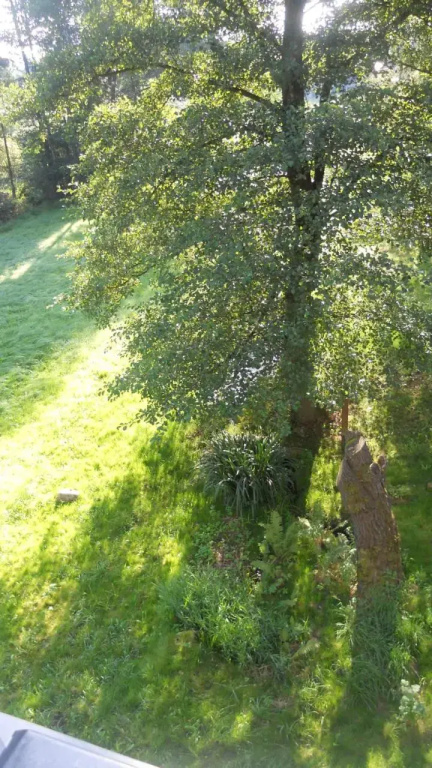 U Dvou lipek pod Broumovskými stěnami