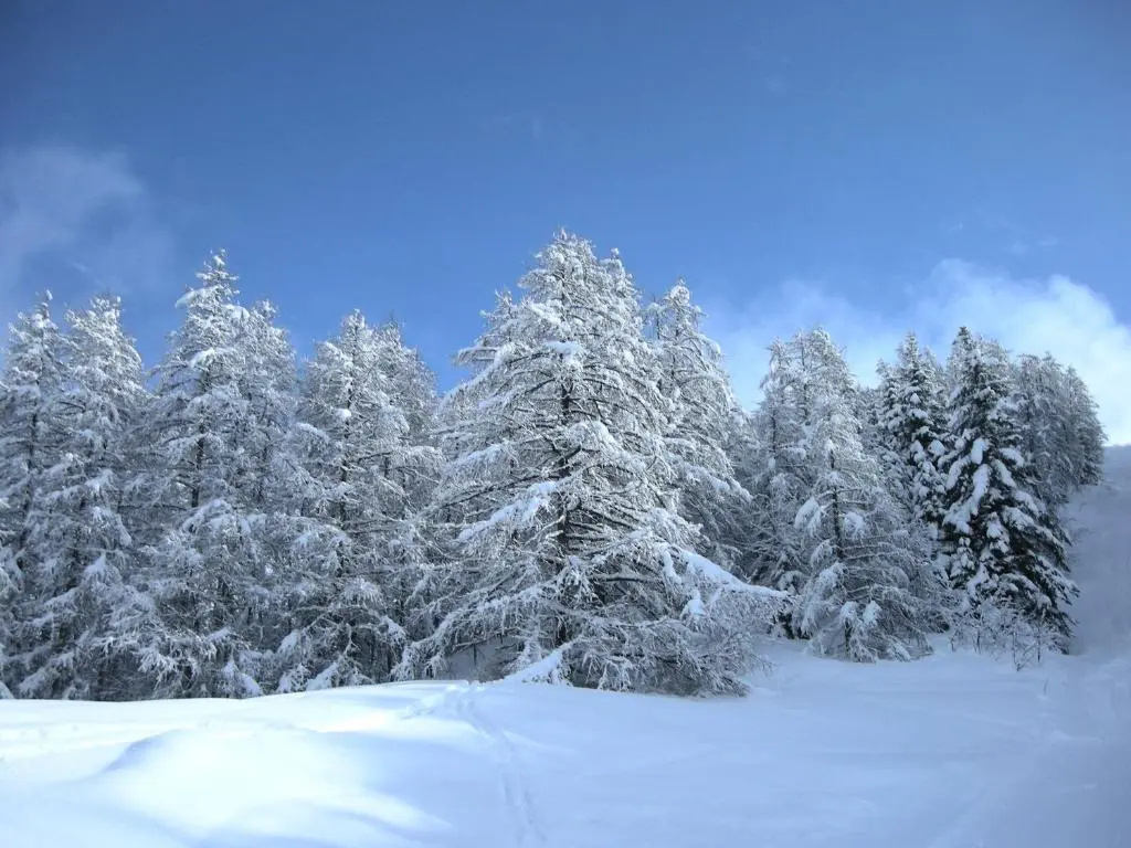 Les Terres Blanches