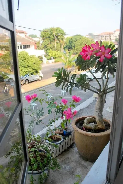 The Cardamom Hostel
