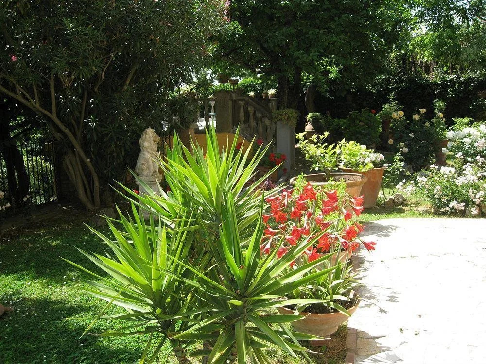 Villa il Torrino
