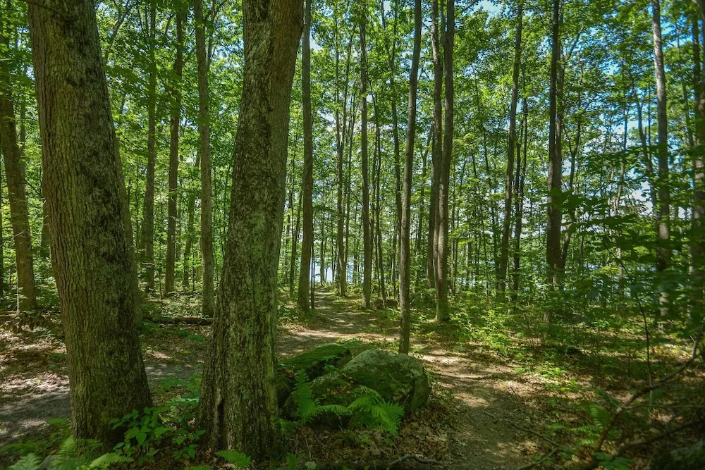 Innisfree