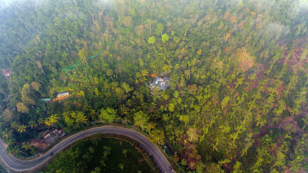 Alencherry plantation homestay