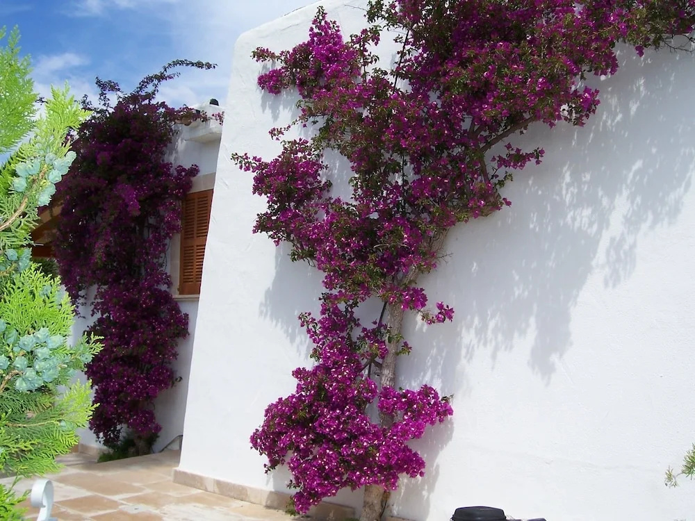 Villa Pastor
