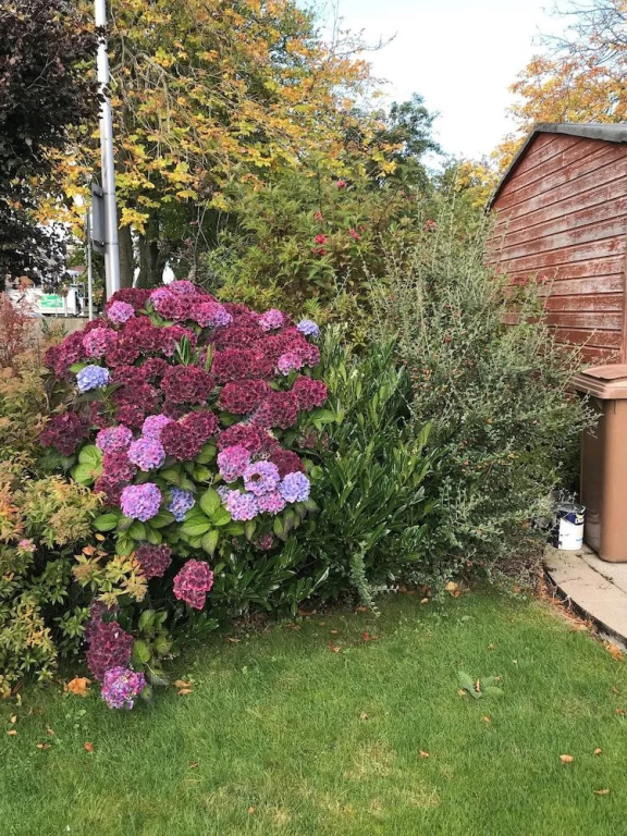 Beeches Guest House