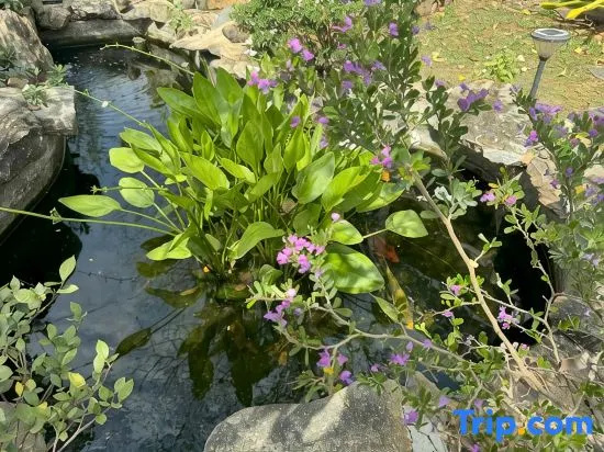 MyGarden Villa Binh Chau Hotspring