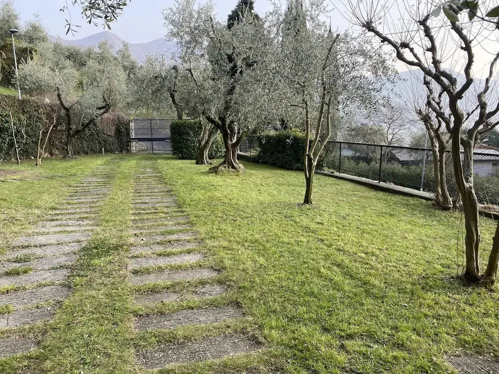 Villa Olivella