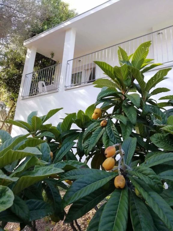 In campagna da Nino