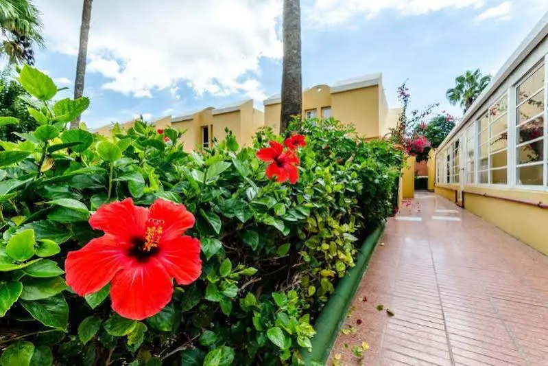 Bungalows Vicksol
