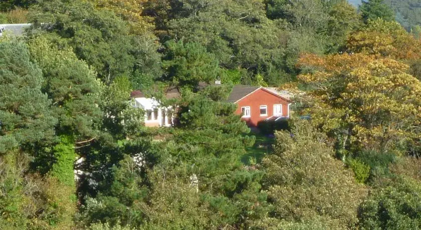 Brambly Wood B&B