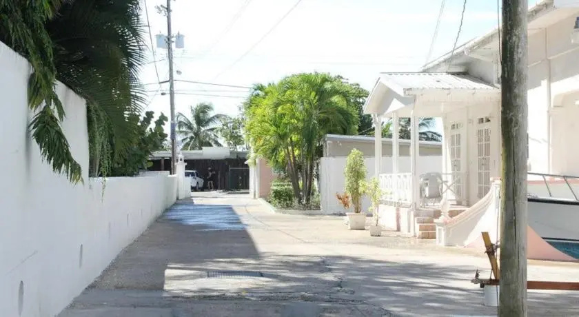 Anthurium Suites