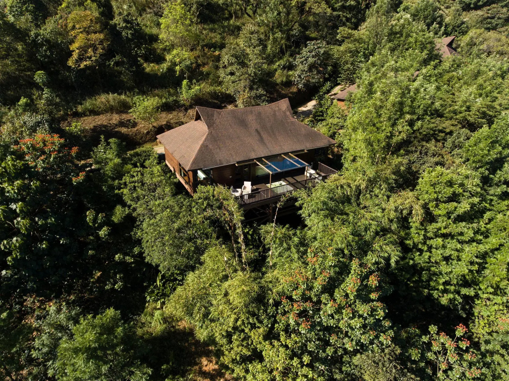 The Tamara Coorg