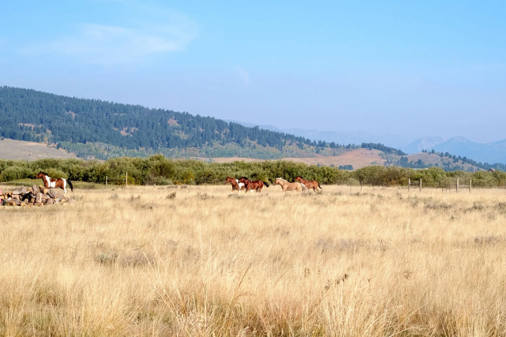 Bar N Ranch