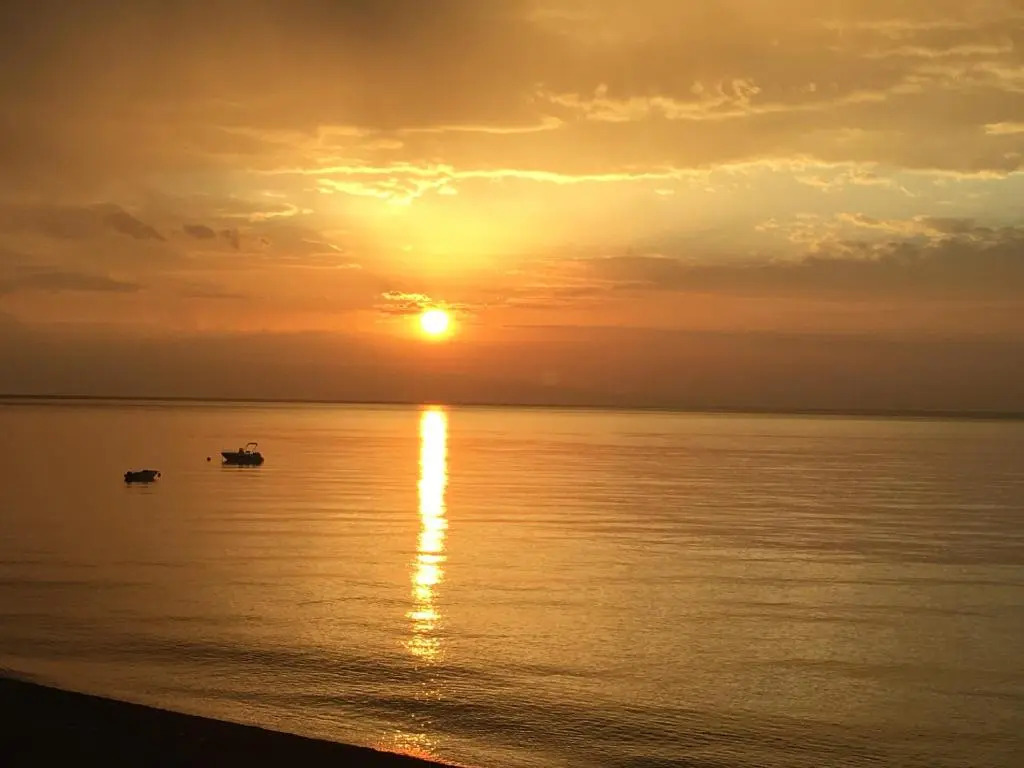 Villa Oasis Residence