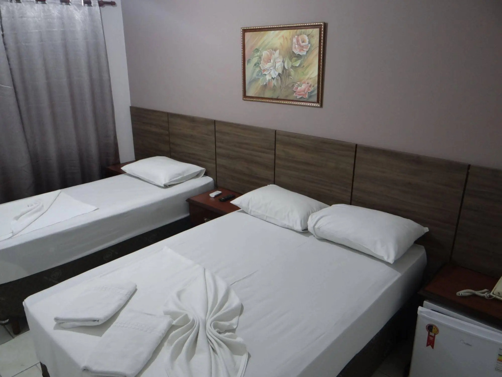 Hotel Faenician