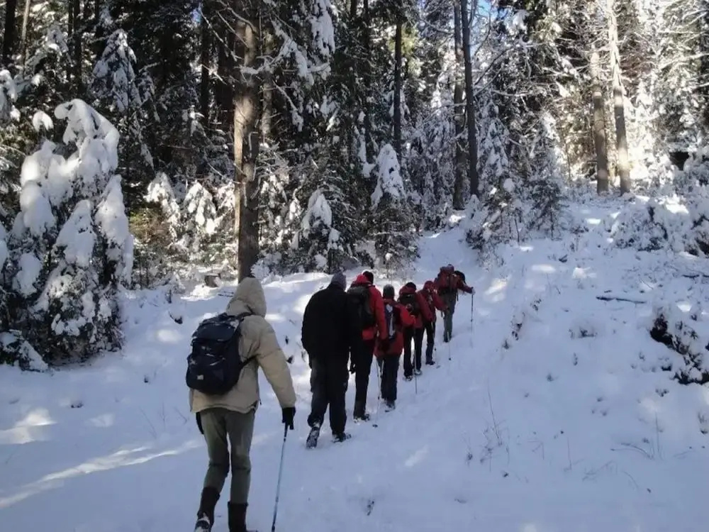 Wohnung in Neuhaus nahe Skigebiet Petzen