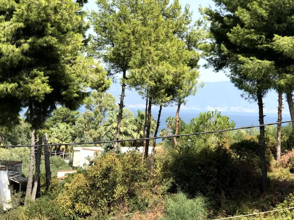 Studio Kalypso