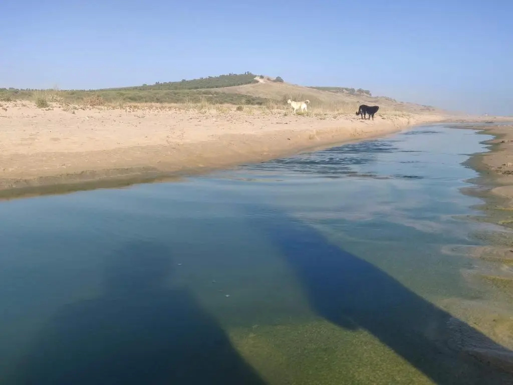 Menfi cia delle Palme, a 30 secondi dal mare